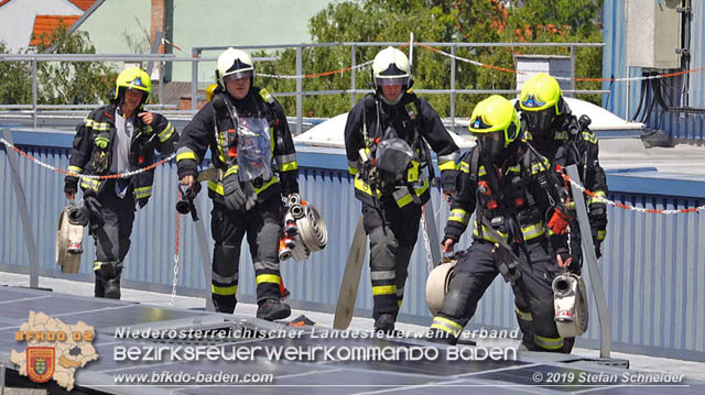 20190715 Brand mehrerer Photovoltaikpaneele am Dach einer Halle im Gewerbepark-Traiskirchen  Foto:  Stefan Schneider BFK Baden