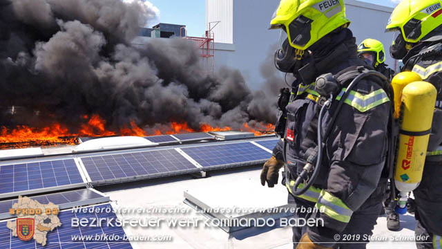 20190715 Brand mehrerer Photovoltaikpaneele am Dach einer Halle im Gewerbepark-Traiskirchen  Foto:  Stefan Schneider BFK Baden