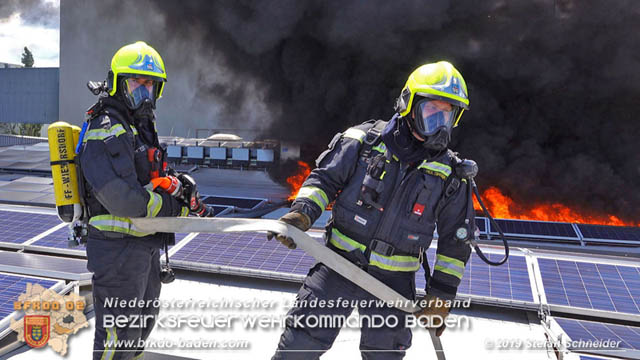 20190715 Brand mehrerer Photovoltaikpaneele am Dach einer Halle im Gewerbepark-Traiskirchen  Foto:  Stefan Schneider BFK Baden