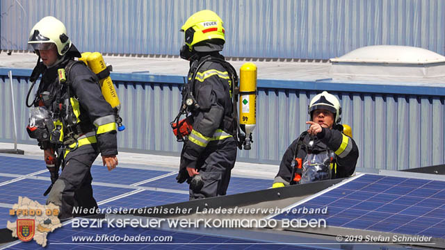 20190715 Brand mehrerer Photovoltaikpaneele am Dach einer Halle im Gewerbepark-Traiskirchen  Foto:  Stefan Schneider BFK Baden