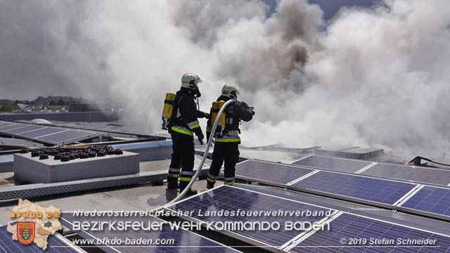 20190715 Brand mehrerer Photovoltaikpaneele am Dach einer Halle im Gewerbepark-Traiskirchen  Foto:  Stefan Schneider BFK Baden