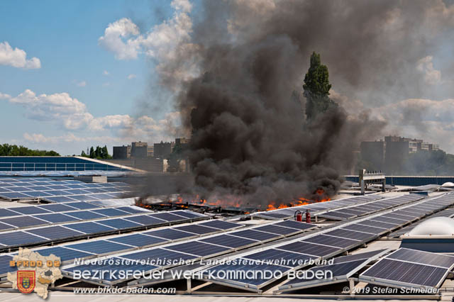 20190715 Brand mehrerer Photovoltaikpaneele am Dach einer Halle im Gewerbepark-Traiskirchen Foto: © Stefan Schneider BFK Baden 20190715 Brand mehrerer Photovoltaikpaneele am Dach einer Halle im Gewerbepark-Traiskirchen Foto: © Stefan Schneider BFK Baden