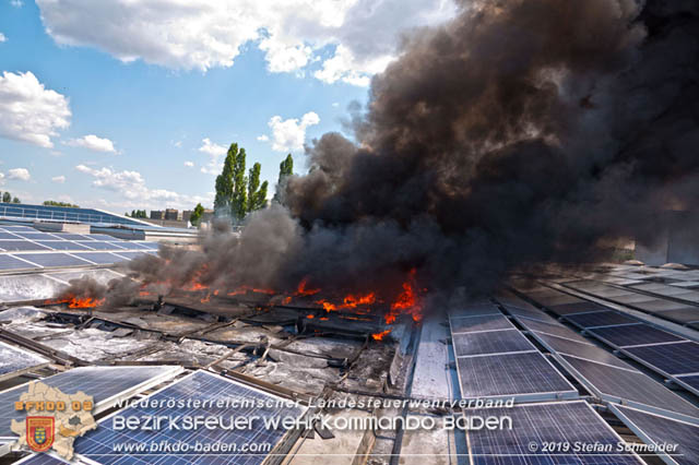 20190715 Brand mehrerer Photovoltaikpaneele am Dach einer Halle im Gewerbepark-Traiskirchen Foto: © Stefan Schneider BFK Baden 20190715 Brand mehrerer Photovoltaikpaneele am Dach einer Halle im Gewerbepark-Traiskirchen Foto: © Stefan Schneider BFK Baden