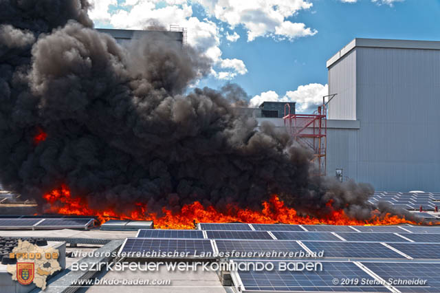 20190715 Brand mehrerer Photovoltaikpaneele am Dach einer Halle im Gewerbepark-Traiskirchen  Foto:  Stefan Schneider BFK Baden