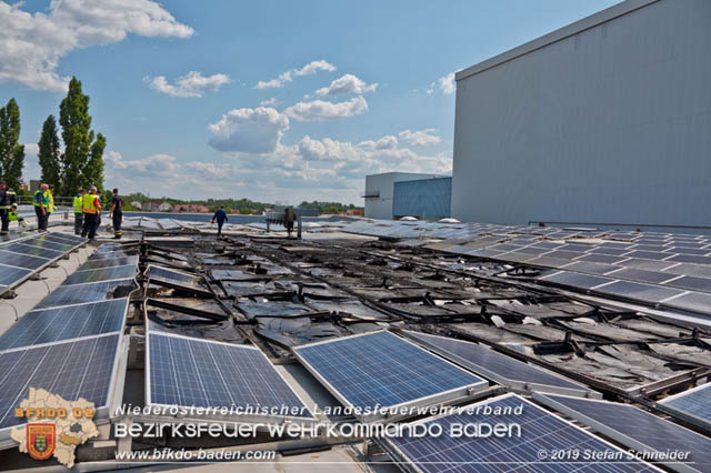 20190715 Brand mehrerer Photovoltaikpaneele am Dach einer Halle im Gewerbepark-Traiskirchen Foto: © Stefan Schneider BFK Baden 20190715 Brand mehrerer Photovoltaikpaneele am Dach einer Halle im Gewerbepark-Traiskirchen Foto: © Stefan Schneider BFK Baden