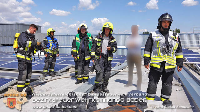 20190715 Brand mehrerer Photovoltaikpaneele am Dach einer Halle im Gewerbepark-Traiskirchen  Foto:  Stefan Schneider BFK Baden