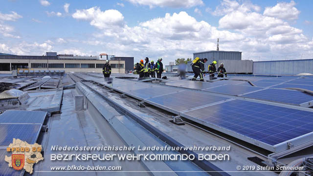 20190715 Brand mehrerer Photovoltaikpaneele am Dach einer Halle im Gewerbepark-Traiskirchen  Foto:  Stefan Schneider BFK Baden