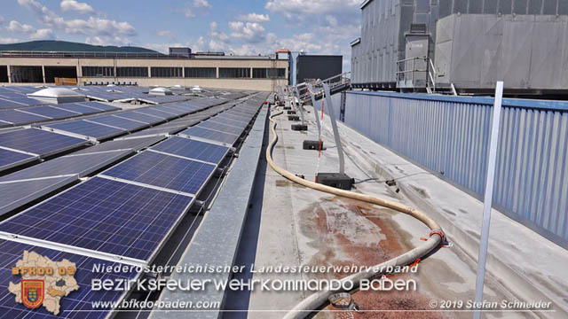 20190715 Brand mehrerer Photovoltaikpaneele am Dach einer Halle im Gewerbepark-Traiskirchen  Foto:  Stefan Schneider BFK Baden