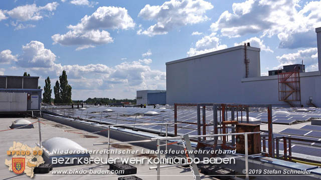 20190715 Brand mehrerer Photovoltaikpaneele am Dach einer Halle im Gewerbepark-Traiskirchen  Foto:  Stefan Schneider BFK Baden