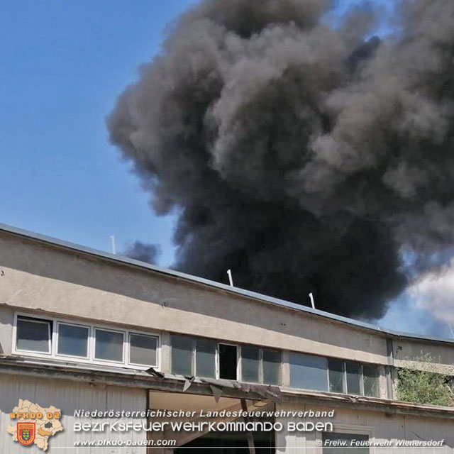 20190715 Brand mehrerer Photovoltaikpaneele am Dach einer Halle im Gewerbepark-Traiskirchen  Foto:  Freiwillige Feuerwerh Wienersdorf