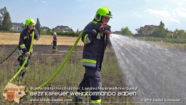 20190720 Grerer Flurbrand in Pfaffsttten Foto:  Stefan Schneider