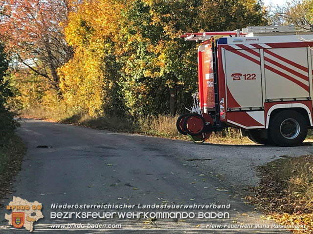 20191026 Pferd mit Vorderfuß im Betonrohr gefangen  Foto: © Freiwillige Feuerwehr Maria Raisenmarkt