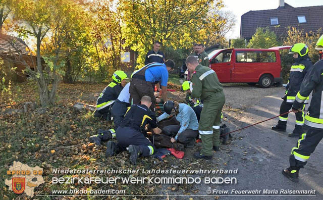 20191026 Pferd mit Vorderfuß im Betonrohr gefangen  Foto: © Freiwillige Feuerwehr Maria Raisenmarkt