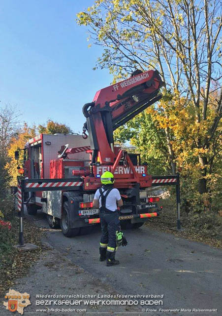 20191026 Pferd mit Vorderfuß im Betonrohr gefangen  Foto: © Freiwillige Feuerwehr Maria Raisenmarkt