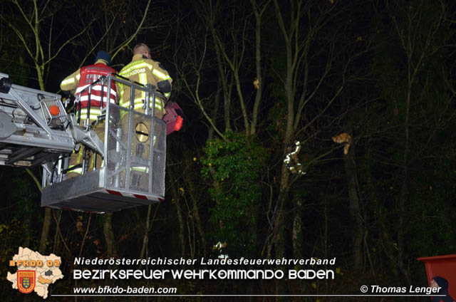 20191126 Maine-Coon-Kater "Simba" von Feuerwehr gerettet!  Foto:  Thomas Lenger Monatsrevue.at
