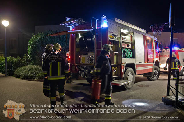 20200101 Brand einer Hecke in Traiskirchen 20200101 Brand einer Hecke in Traiskirchen