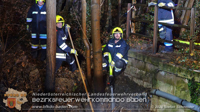 20200101 Böschungsbrand in Pottendorf 20200101 Böschungsbrand in Pottendorf