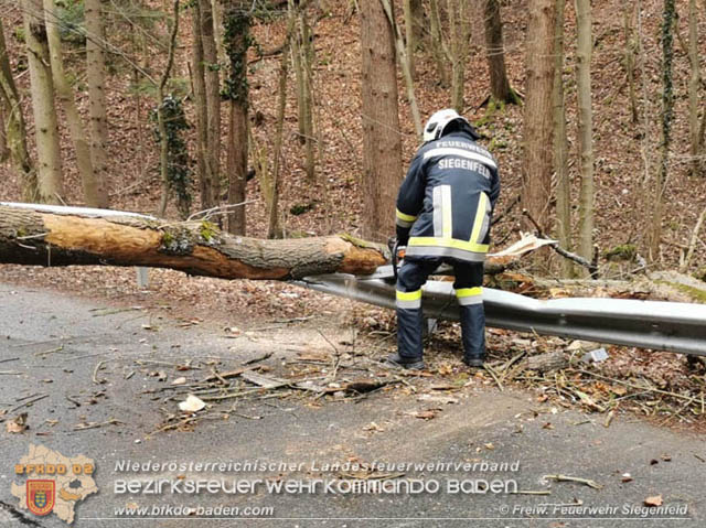 20200204 Strumtief "Petra" über Siegenfeld  Foto: FF Siegenfeld