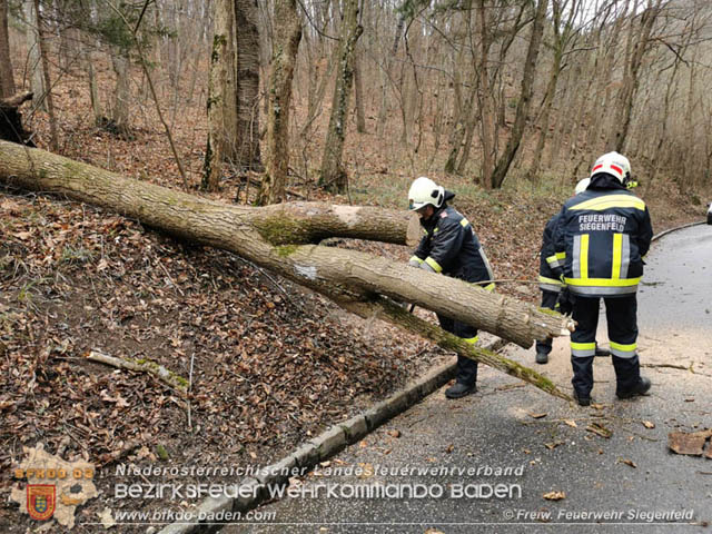 20200204 Strumtief "Petra" über Siegenfeld  Foto: FF Siegenfeld