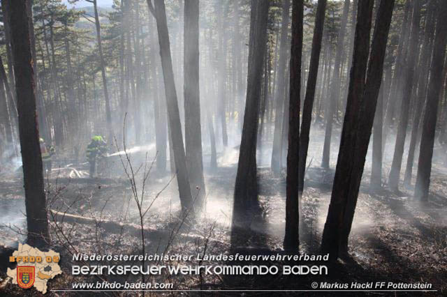 20200218 Waldbrand in Pottenstein  Foto:  ASB Markus Hackl