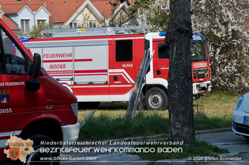 20200320 Brand einer Wiese und Trampolin in Sooß Foto: © Stefan Schneider 20200320 Brand einer Wiese und Trampolin in Sooß Foto: © Stefan Schneider