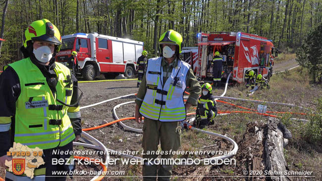 20200420 Brand einer Jagdhütte bei Furth a.d.Triesting Foto: © Stefan Schneider BFK Baden 20200420 Brand einer Jagdhütte bei Furth a.d.Triesting Foto: © Stefan Schneider BFK Baden