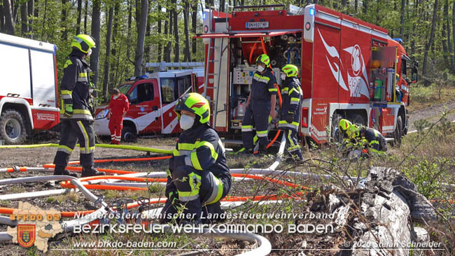 20200420 Brand einer Jagdhütte bei Furth a.d.Triesting Foto: © Stefan Schneider BFK Baden 20200420 Brand einer Jagdhütte bei Furth a.d.Triesting Foto: © Stefan Schneider BFK Baden