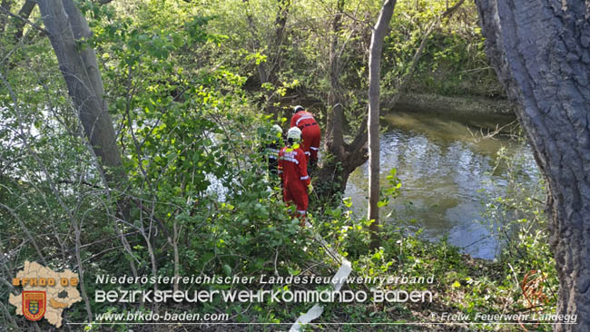 20200422 Brand von Getreideausputz in Pottendorf Foto: © Freiwillige Feuerwehr Landegg 20200422 Brand von Getreideausputz in Pottendorf Foto: © Freiwillige Feuerwehr Landegg