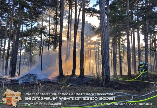 20200422 Waldbrand im Bereich Bezirksgrenze Wopfing (WN) und Alkersdorf (BN)  Foto:  BR DI Rudolf Hafellner AFK Pottenstein