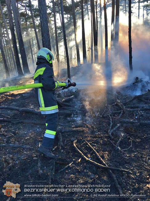 20200422 Waldbrand im Bereich Bezirksgrenze Wopfing (WN) und Alkersdorf (BN)  Foto:  BR DI Rudolf Hafellner AFK Pottenstein