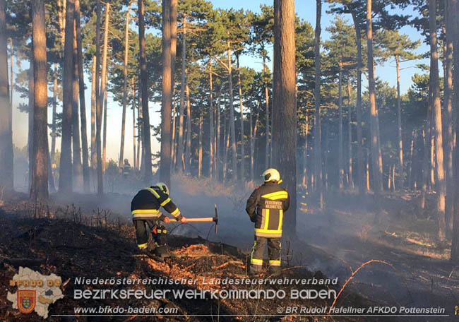 20200422 Waldbrand im Bereich Bezirksgrenze Wopfing (WN) und Alkersdorf (BN)  Foto:  BR DI Rudolf Hafellner AFK Pottenstein
