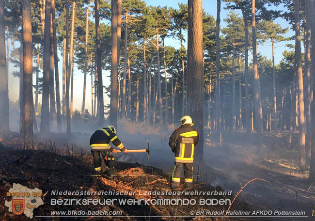 20200422 Waldbrand im Bereich Bezirksgrenze Wopfing (WN) und Alkersdorf (BN) Foto: © BR DI Rudolf Hafellner AFK Pottenstein 20200422 Waldbrand im Bereich Bezirksgrenze Wopfing (WN) und Alkersdorf (BN) Foto: © BR DI Rudolf Hafellner AFK Pottenstein