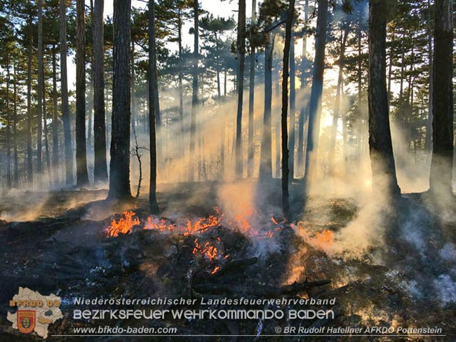 20200422 Waldbrand im Bereich Bezirksgrenze Wopfing (WN) und Alkersdorf (BN) Foto: © BR DI Rudolf Hafellner AFK Pottenstein 20200422 Waldbrand im Bereich Bezirksgrenze Wopfing (WN) und Alkersdorf (BN) Foto: © BR DI Rudolf Hafellner AFK Pottenstein