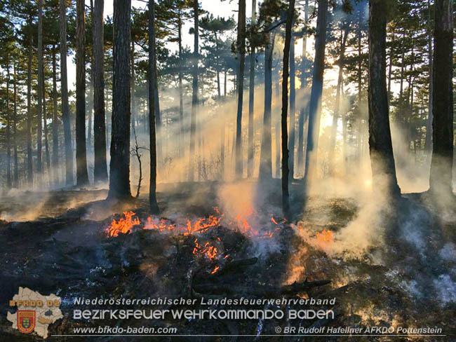 20200422 Waldbrand im Bereich Bezirksgrenze Wopfing (WN) und Alkersdorf (BN)  Foto:  BR DI Rudolf Hafellner AFK Pottenstein