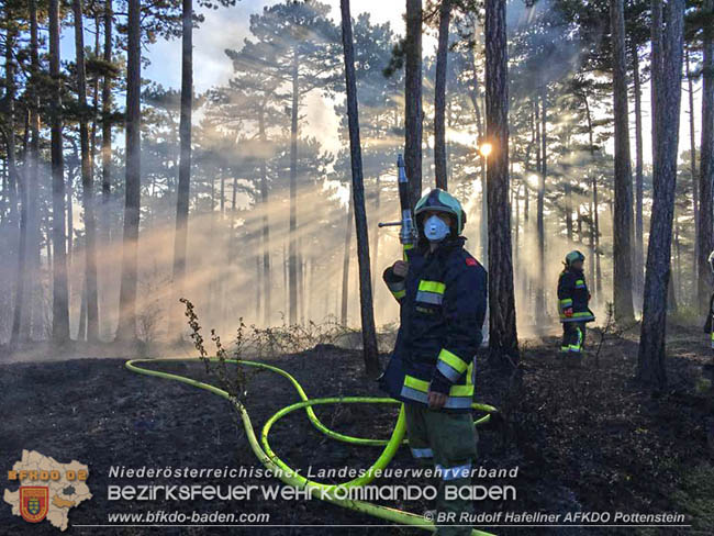 20200422 Waldbrand im Bereich Bezirksgrenze Wopfing (WN) und Alkersdorf (BN) Foto: © BR DI Rudolf Hafellner AFK Pottenstein 20200422 Waldbrand im Bereich Bezirksgrenze Wopfing (WN) und Alkersdorf (BN) Foto: © BR DI Rudolf Hafellner AFK Pottenstein