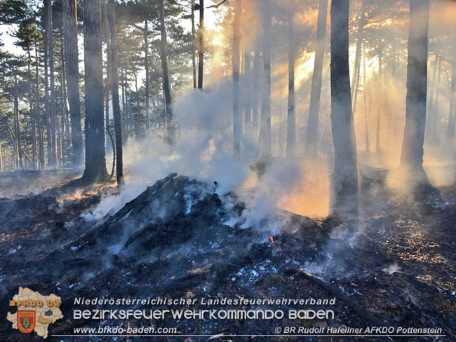 20200422 Waldbrand im Bereich Bezirksgrenze Wopfing (WN) und Alkersdorf (BN)  Foto:  BR DI Rudolf Hafellner AFK Pottenstein