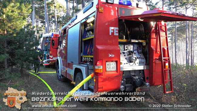 20200422 Waldbrand im Bereich Bezirksgrenze Wopfing (WN) und Alkersdorf (BN) Foto: © Stefan Schneider BFK Baden 20200422 Waldbrand im Bereich Bezirksgrenze Wopfing (WN) und Alkersdorf (BN) Foto: © Stefan Schneider BFK Baden