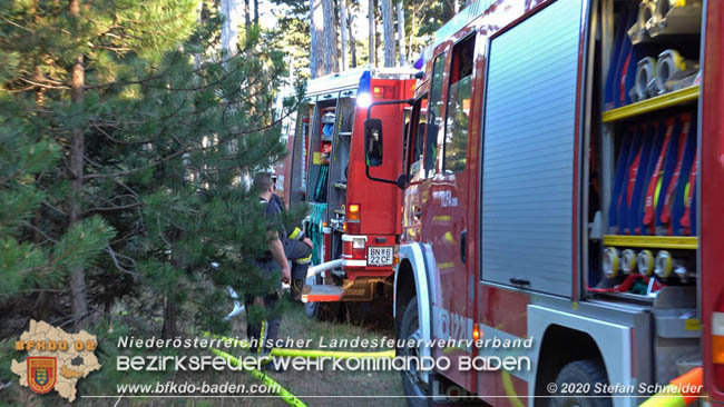 20200422 Waldbrand im Bereich Bezirksgrenze Wopfing (WN) und Alkersdorf (BN) Foto: © Stefan Schneider BFK Baden 20200422 Waldbrand im Bereich Bezirksgrenze Wopfing (WN) und Alkersdorf (BN) Foto: © Stefan Schneider BFK Baden