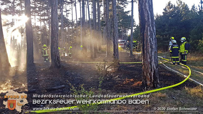 20200422 Waldbrand im Bereich Bezirksgrenze Wopfing (WN) und Alkersdorf (BN) Foto: © Stefan Schneider BFK Baden 20200422 Waldbrand im Bereich Bezirksgrenze Wopfing (WN) und Alkersdorf (BN) Foto: © Stefan Schneider BFK Baden