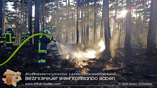 20200422 Waldbrand im Bereich Bezirksgrenze Wopfing (WN) und Alkersdorf (BN)  Foto:  Stefan Schneider BFK Baden