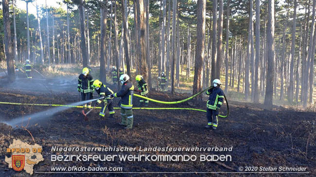 20200422 Waldbrand im Bereich Bezirksgrenze Wopfing (WN) und Alkersdorf (BN)  Foto:  Stefan Schneider BFK Baden