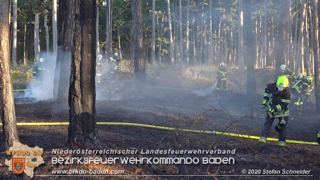 20200422 Waldbrand im Bereich Bezirksgrenze Wopfing (WN) und Alkersdorf (BN)  Foto:  Stefan Schneider BFK Baden