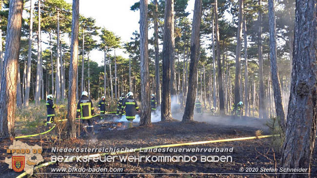 20200422 Waldbrand im Bereich Bezirksgrenze Wopfing (WN) und Alkersdorf (BN)  Foto:  Stefan Schneider BFK Baden