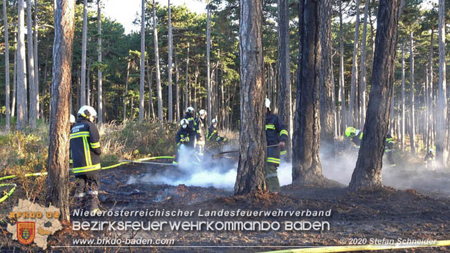 20200422 Waldbrand im Bereich Bezirksgrenze Wopfing (WN) und Alkersdorf (BN)  Foto:  Stefan Schneider BFK Baden