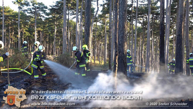 20200422 Waldbrand im Bereich Bezirksgrenze Wopfing (WN) und Alkersdorf (BN)  Foto:  Stefan Schneider BFK Baden