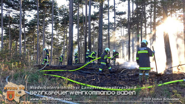 20200422 Waldbrand im Bereich Bezirksgrenze Wopfing (WN) und Alkersdorf (BN) Foto: © Stefan Schneider BFK Baden 20200422 Waldbrand im Bereich Bezirksgrenze Wopfing (WN) und Alkersdorf (BN) Foto: © Stefan Schneider BFK Baden