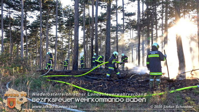 20200422 Waldbrand im Bereich Bezirksgrenze Wopfing (WN) und Alkersdorf (BN)  Foto:  Stefan Schneider BFK Baden