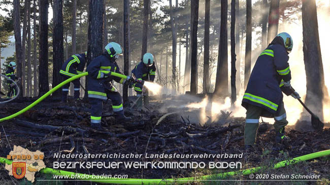 20200422 Waldbrand im Bereich Bezirksgrenze Wopfing (WN) und Alkersdorf (BN)  Foto:  Stefan Schneider BFK Baden