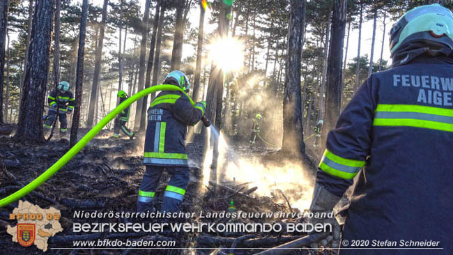 20200422 Waldbrand im Bereich Bezirksgrenze Wopfing (WN) und Alkersdorf (BN) Foto: © Stefan Schneider BFK Baden 20200422 Waldbrand im Bereich Bezirksgrenze Wopfing (WN) und Alkersdorf (BN) Foto: © Stefan Schneider BFK Baden