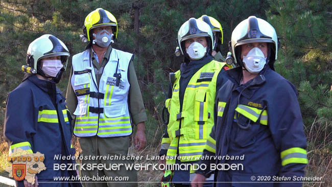 20200422 Waldbrand im Bereich Bezirksgrenze Wopfing (WN) und Alkersdorf (BN) Foto: © Stefan Schneider BFK Baden 20200422 Waldbrand im Bereich Bezirksgrenze Wopfing (WN) und Alkersdorf (BN) Foto: © Stefan Schneider BFK Baden